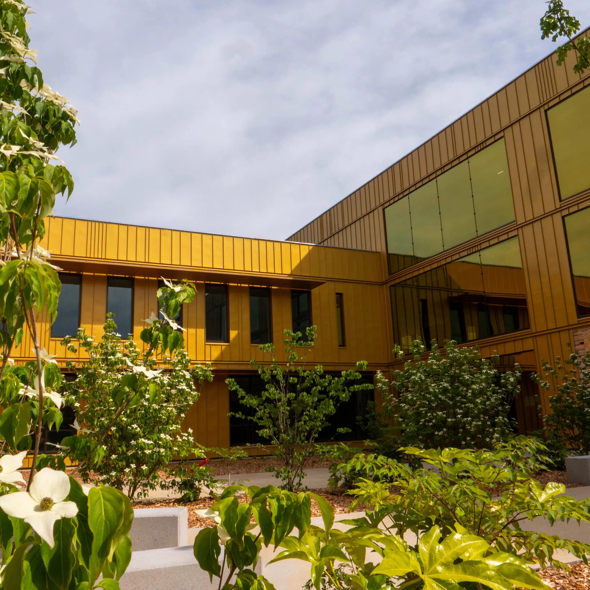 Cour du lycée à Auterive Cour du lycée à Auterive